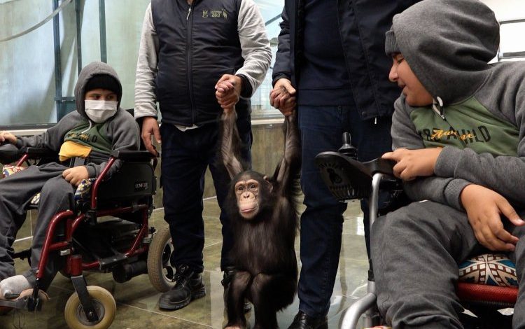 ‘Kitaplarda gördüklerini canlı görsünler istedik’