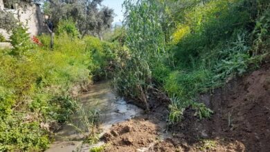 Balavca Deresi ve çevresinde temizlik seferberliği
