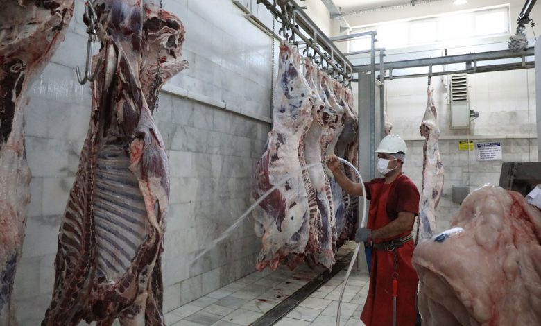 Muğla’da mezbahalar kesime hazır Muğla’da mezbahalar kesime hazır