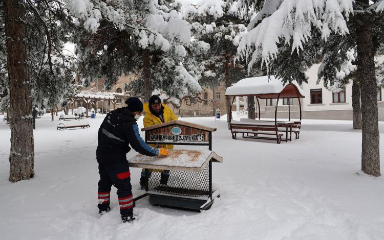 Kuşlar için parklardaki beslenme odaklarına buğday bırakıldı Kuşlar için parklardaki beslenme odaklarına buğday bırakıldı