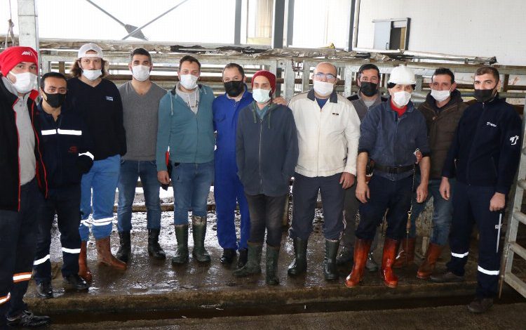 Kocaeli’nde kurban kesimi eğitimleri başladı