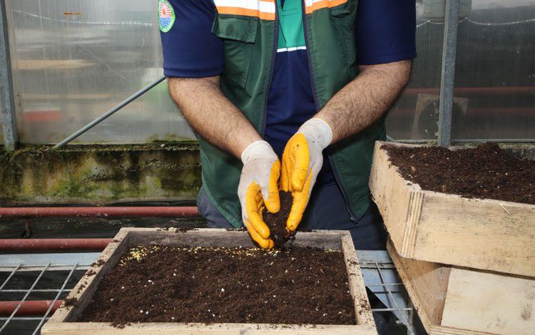 Ankara Gölbaşı’nda Ata tohumları toprakla buluştu Ankara Gölbaşı’nda Ata tohumları toprakla buluştu