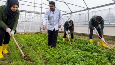 MEB’ten tarımsal hamle