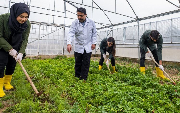 MEB’ten tarımsal hamle MEB’ten tarımsal hamle