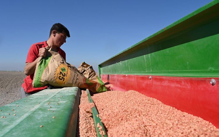 Konya’da tarımsal hamle Konya’da tarımsal hamle