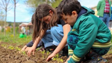 Çocuklar fideleri toprakla buluşturdu