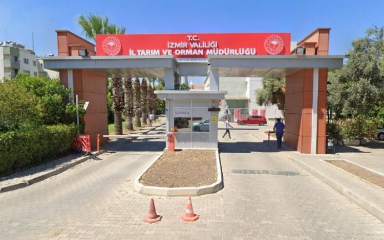 İzmir’de 8 ton balığa el kondu İzmir’de 8 ton balığa el kondu