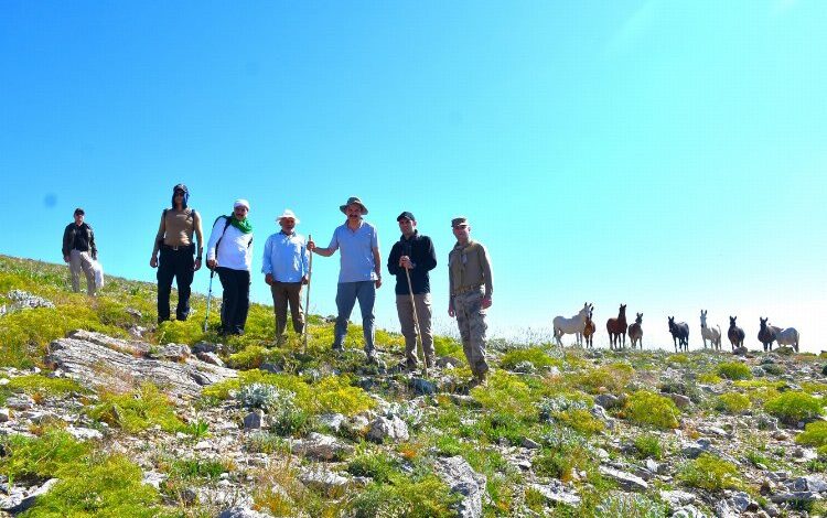 Mereto’dan ihtişama davet Mereto’dan ihtişama davet