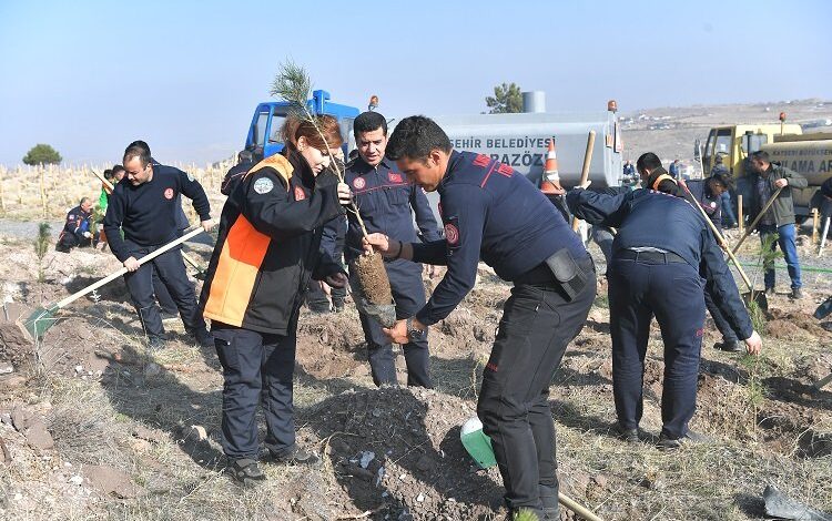 Kayseri Büyükşehir’den 5 bin fidan Kayseri Büyükşehir’den 5 bin fidan