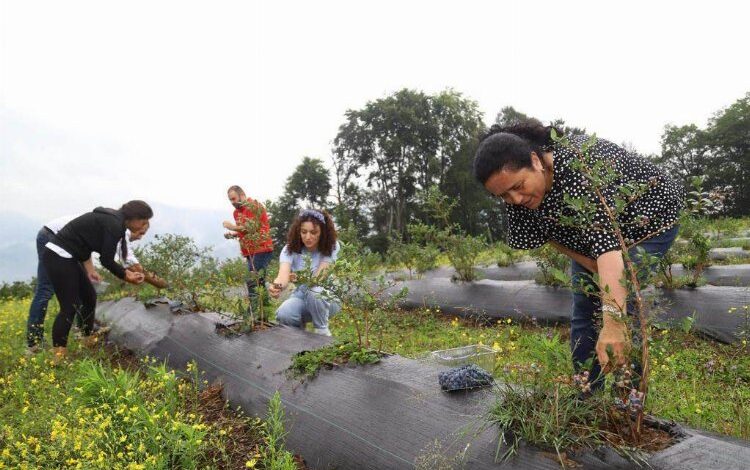 Üreticilerin yeni gelir kapısı oldu Üreticilerin yeni gelir kapısı oldu