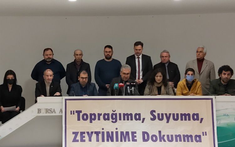 Bursa’dan ‘zeytinlik alanların talanına’ akademik tepki Bursa’dan ‘zeytinlik alanların talanına’ akademik tepki