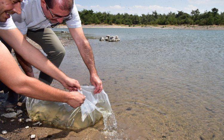 Manisa Büyükşehir’den balıkçılığa destek