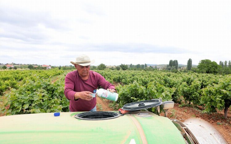 Üreticinin imdadına Büyükşehir yetişti Üreticinin imdadına Büyükşehir yetişti