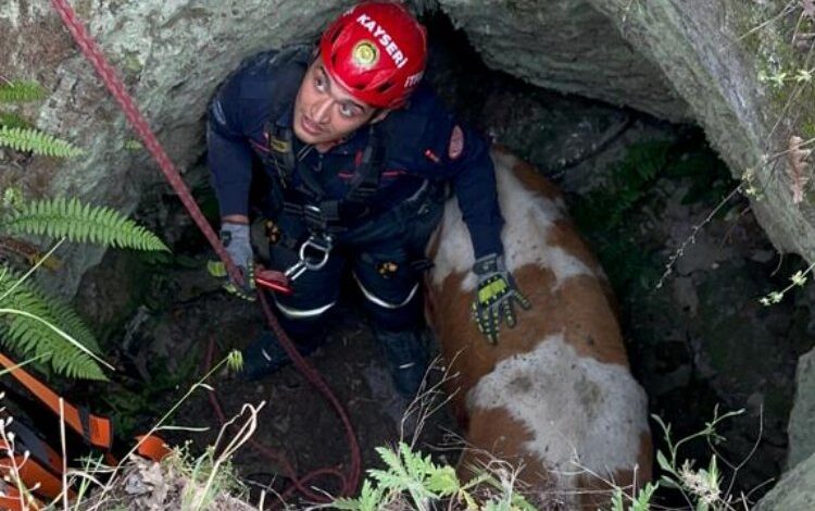 Mahsur büyükbaşa Kayseri İtfaiyesi’nden yardım eli
