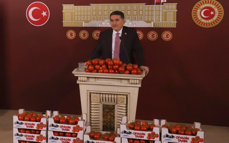 Ağrı’da 1925 rakımlı domates üretimi Antalya’ya rakip! Ağrı’da 1925 rakımlı domates üretimi Antalya’ya rakip!