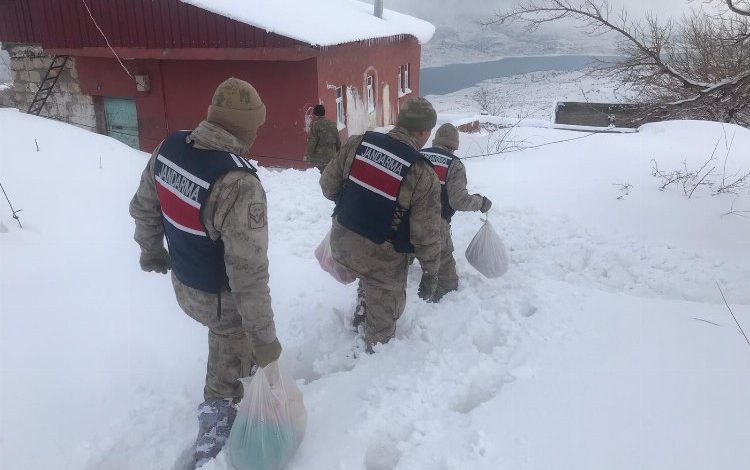 Kahraman Mehmetçik her yerde