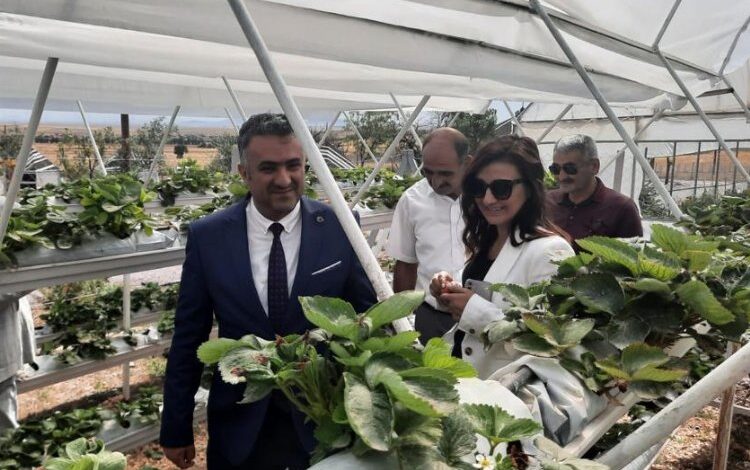 Eskişehir’in kırsal kalkınmasına BEBKA desteği Eskişehir’in kırsal kalkınmasına BEBKA desteği