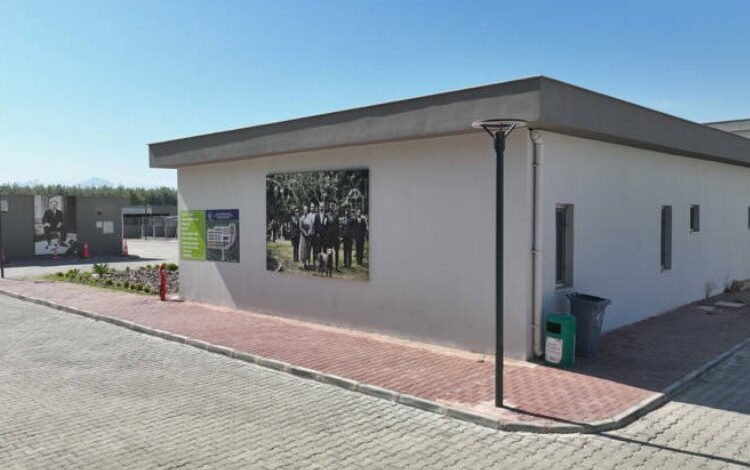 Can dostlar yeni yuvalarında mutlu