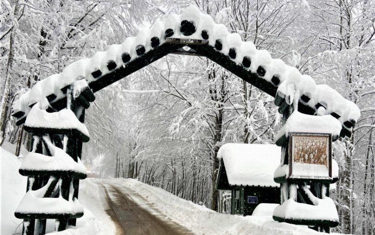 Kocaeli Samanlı Dağları’nda eşsiz tablo Kocaeli Samanlı Dağları’nda eşsiz tablo
