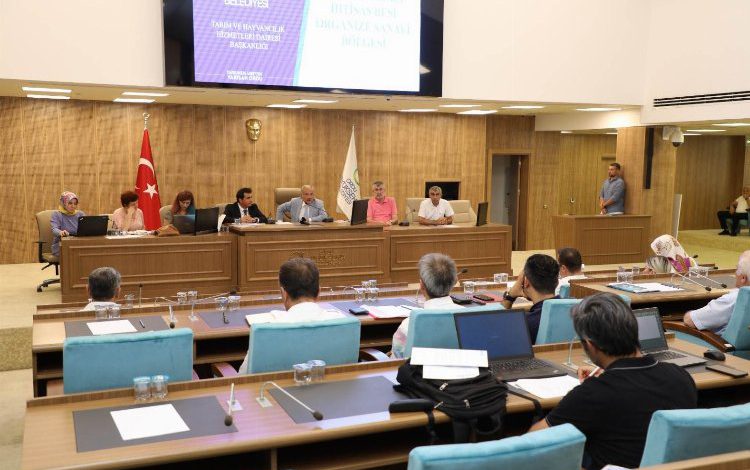 Mega projeler Ordu’yu uçuracak Mega projeler Ordu’yu uçuracak