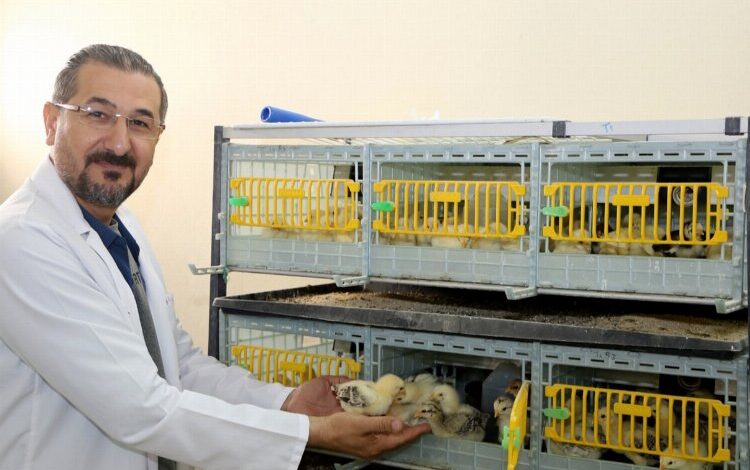 Üniversite Kuluçka Merkezi hizmete girdi