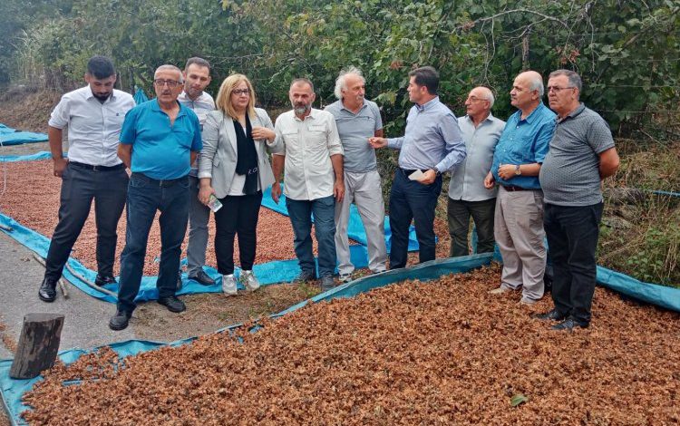 CHP’li Kaya: “Fındığa iyi fiyat verdik diye milleti aldatmaya çalışıyorlar” CHP’li Kaya: “Fındığa iyi fiyat verdik diye milleti aldatmaya çalışıyorlar”