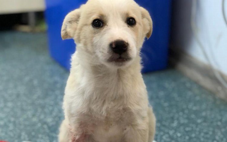 Ölümden döndü yeni yaşama ‘Merhaba’ dedi