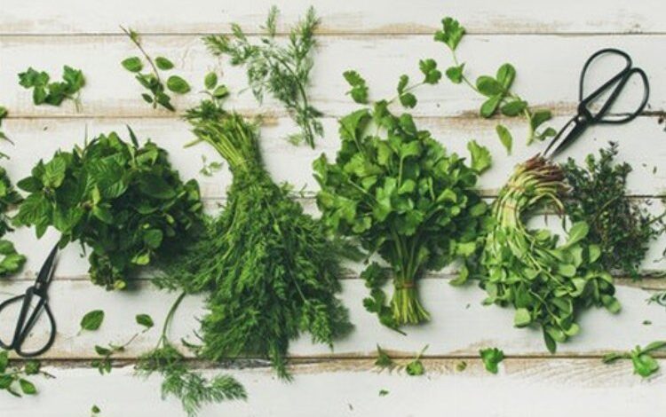 Uzmanından ağız kokusuna karşı tavsiyeler