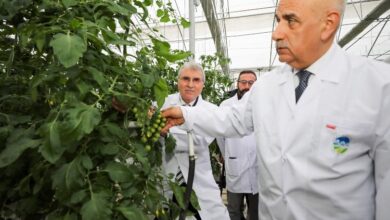 Bakan Kirişci’den Sakarya’ya tam not