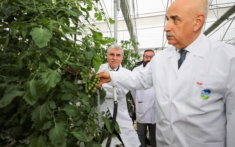 Bakan Kirişci’den Sakarya’ya tam not Bakan Kirişci’den Sakarya’ya tam not