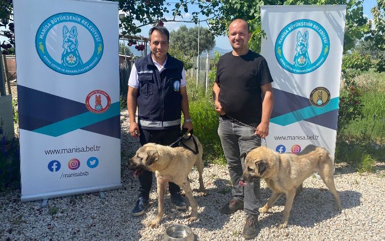 Eğitimli köpekler çiftçiye can yoldaşı olacak Eğitimli köpekler çiftçiye can yoldaşı olacak