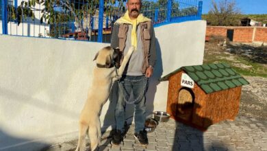Manisa’da bir ‘can dost’ daha yuvasında