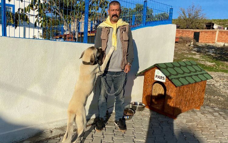 Manisa’da bir ‘can dost’ daha yuvasında Manisa’da bir ‘can dost’ daha yuvasında