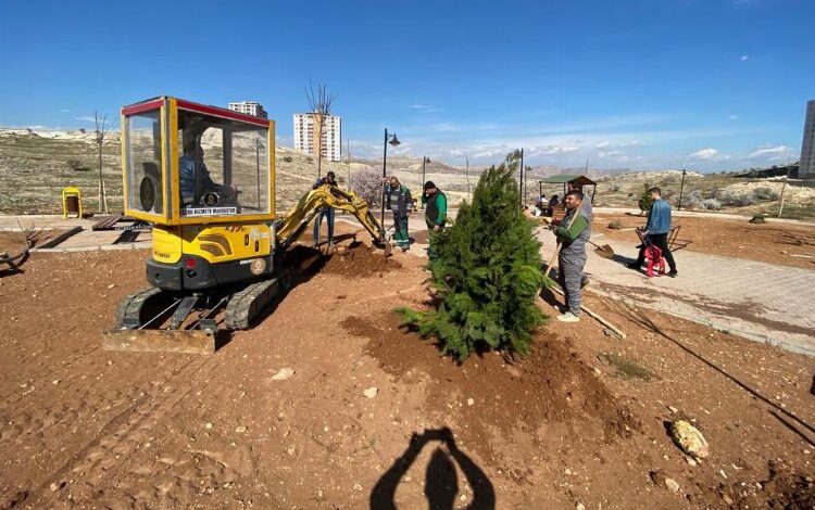 Mardin Artuklu Belediyesi kenti yeşillendiriyor Mardin Artuklu Belediyesi kenti yeşillendiriyor