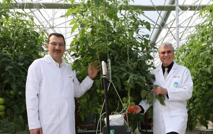 Topraksız tarımın üretim üssü Topraksız tarımın üretim üssü