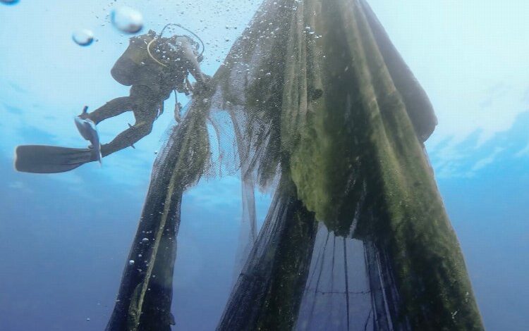 Hayalet ağlara geçit yok! Hayalet ağlara geçit yok!