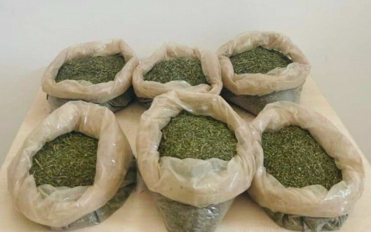 Bingöl’de 3 kilogram uyuşturucu ele geçirildi