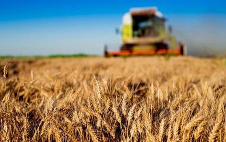 ‘Kırsal Kalkınmada Uzman Eller’e 600 milyon liraya hibe ‘Kırsal Kalkınmada Uzman Eller’e 600 milyon liraya hibe