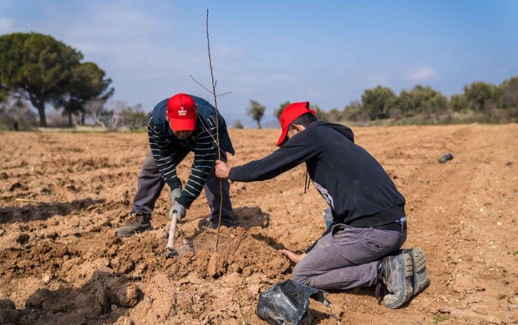Kuraklıkla tarlada mücadele Kuraklıkla tarlada mücadele