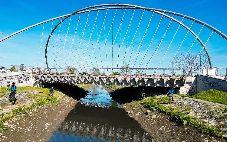Sakarya’da Çark Deresi’nde bayram temizliği Sakarya’da Çark Deresi’nde bayram temizliği