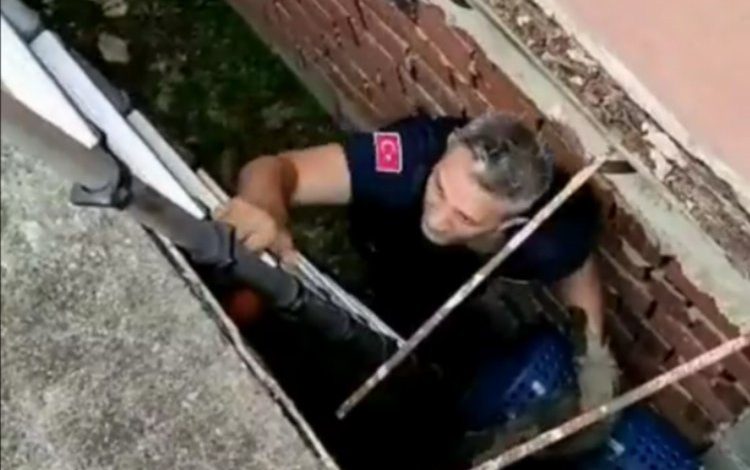 Bursa Mudanya’da itfaiye ekipleri mahsur kalan kediyi kurtardı Bursa Mudanya’da itfaiye ekipleri mahsur kalan kediyi kurtardı