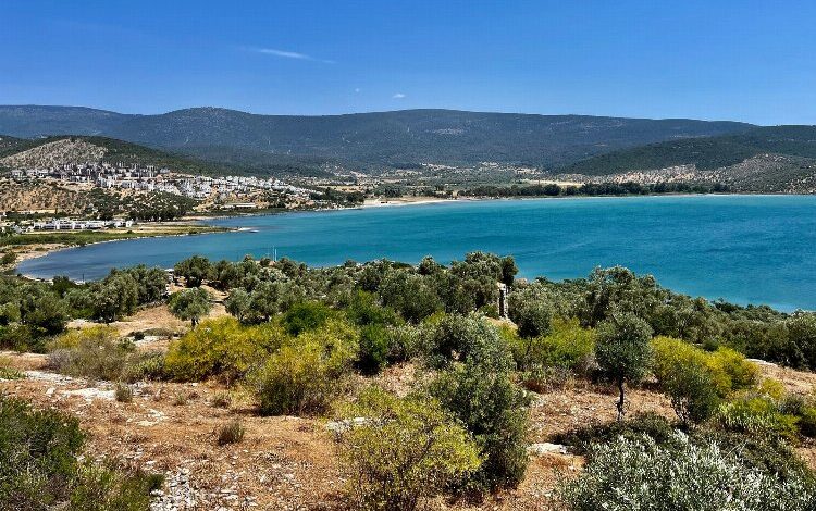 Muğla’da Güllük Körfezi’ni kurtaran dava