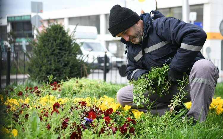 Çayırova’da bahar hazırlığı Çayırova’da bahar hazırlığı