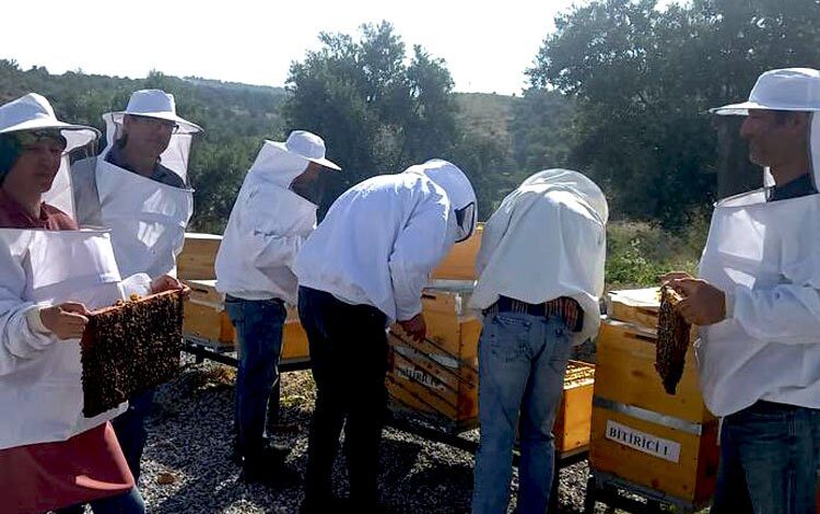 Manisa’da arıcılık eğitiminde yeni dönem Manisa’da arıcılık eğitiminde yeni dönem