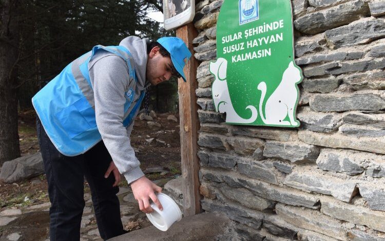Yaz sıcaklarında sokak hayvanlarına da ‘Yıldırım’ takviye Yaz sıcaklarında sokak hayvanlarına da ‘Yıldırım’ takviye