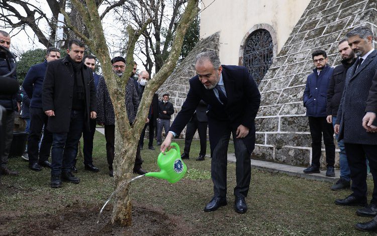 Bursa’da rivayet gerçek oldu… Türbenin önüne nar ağacı dikildi