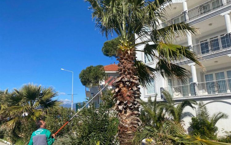 Muğla Milas Belediyesi Boğaziçi, Güllük ve Kırcağız’da çalışmalarına devam ediyor