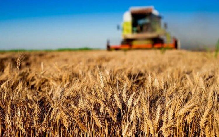 Tarım ambarı şehre Akıllı Tarım Merkezi Tarım ambarı şehre Akıllı Tarım Merkezi