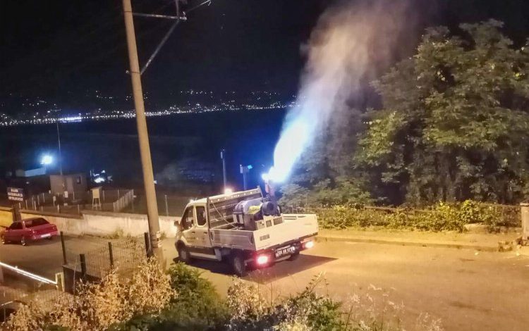 Giresun’da belediye sineklere savaş açtı Giresun’da belediye sineklere savaş açtı