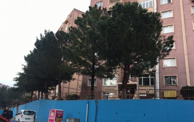 İzmit tehlikeli ağaçlara müdahale edecek İzmit tehlikeli ağaçlara müdahale edecek